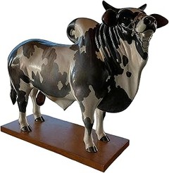 Reseñas y experiencias de usuarios sobre dispensadores de licor