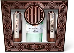 Descubre qué es un pack de ginebra con tónicas y botánicos
