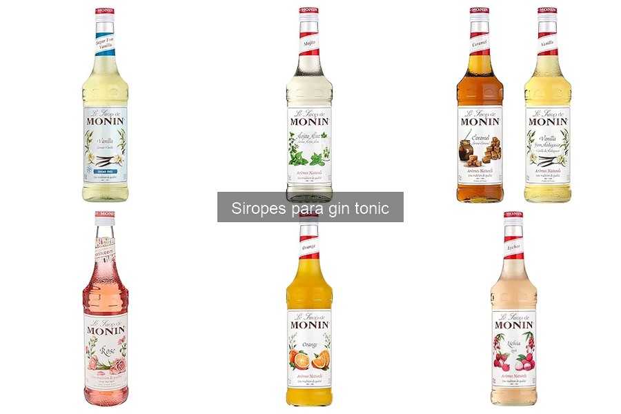Alternativas creativas a los siropes para gin tonic