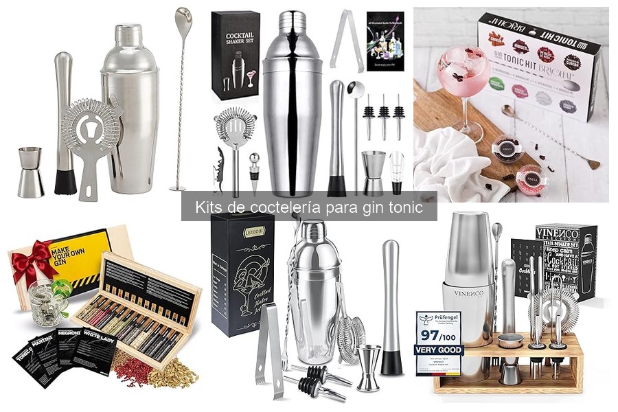 Alternativas económicas a kits de coctelería para gin tonic