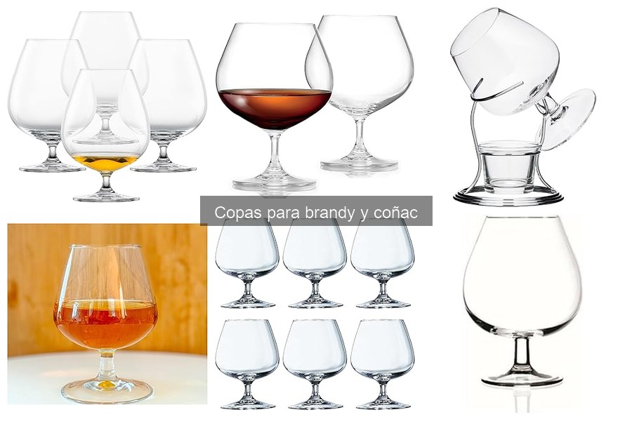 Cómo elegir copas de brandy y coñac ideales para ti