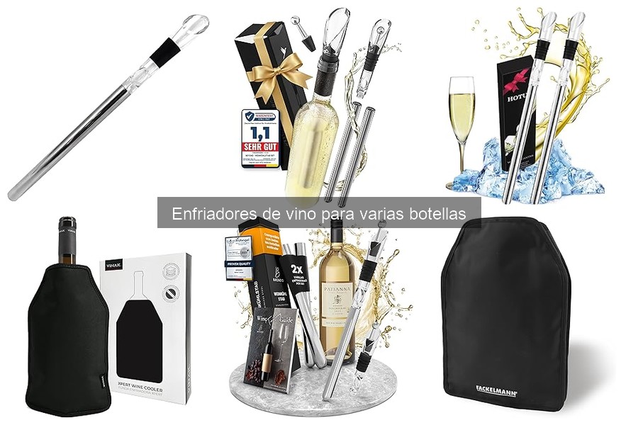Cómo elegir el mejor enfriador de vino para varias botellas