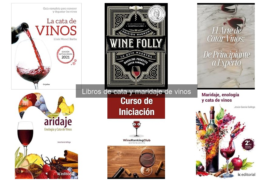 Cómo utilizar un libro de cata de vinos para disfrutar más