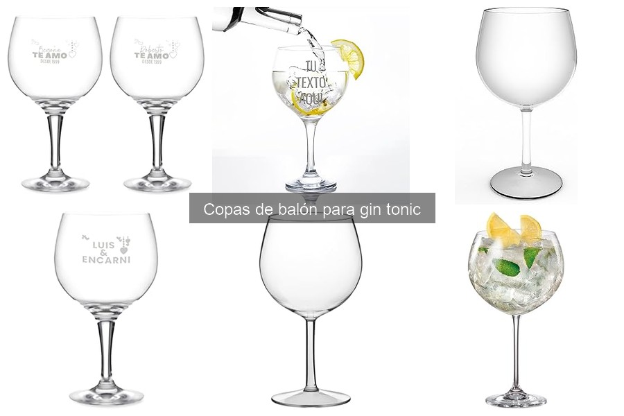 Guía de compra de copas de balón para gin tonic
