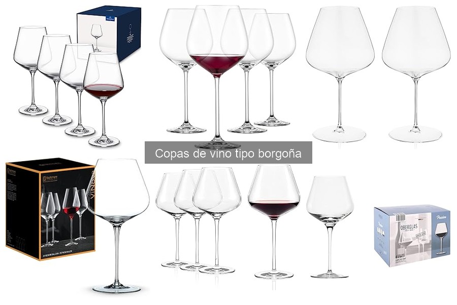 Guía de compra de copas de vino tipo borgoña