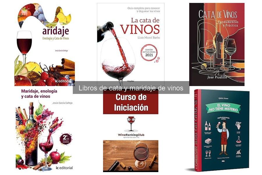 Libros de cata de vinos más vendidos en Amazon