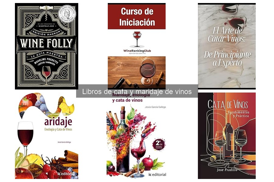 Libros de cata de vinos recomendados para principiantes