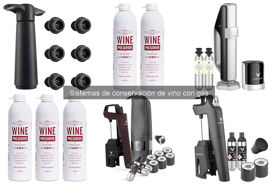 Mantenimiento óptimo de sistemas de conservación de vino con gas