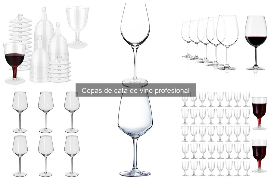 Mejores copas de cata de vino para principiantes en 2023
