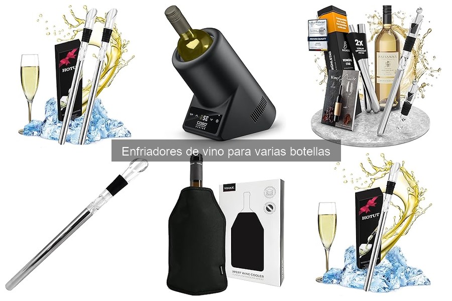 Mejores enfriadores de vino para varias botellas en 2023