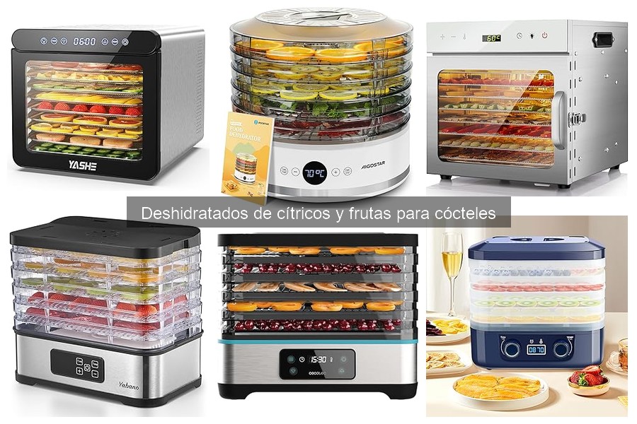 Mejores frutas deshidratadas para cócteles deliciosos