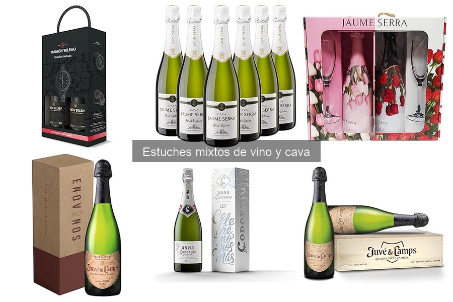 Mejores prácticas para el uso y cuidado de estuches de vino y cava