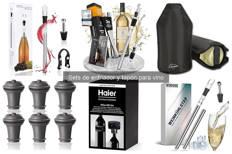 Mejores sets de enfriador y tapón para vino del mercado