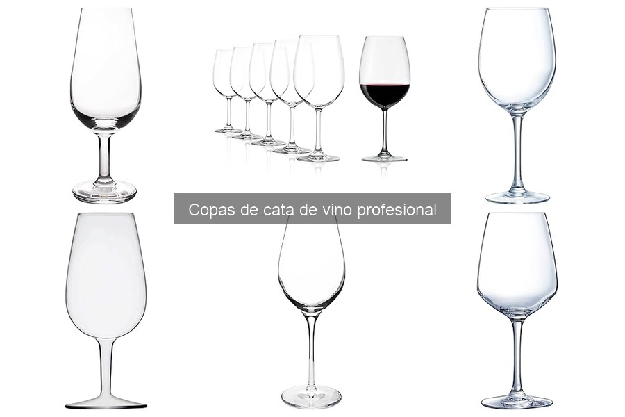 Ofertas y descuentos en copas de cata de vino profesional