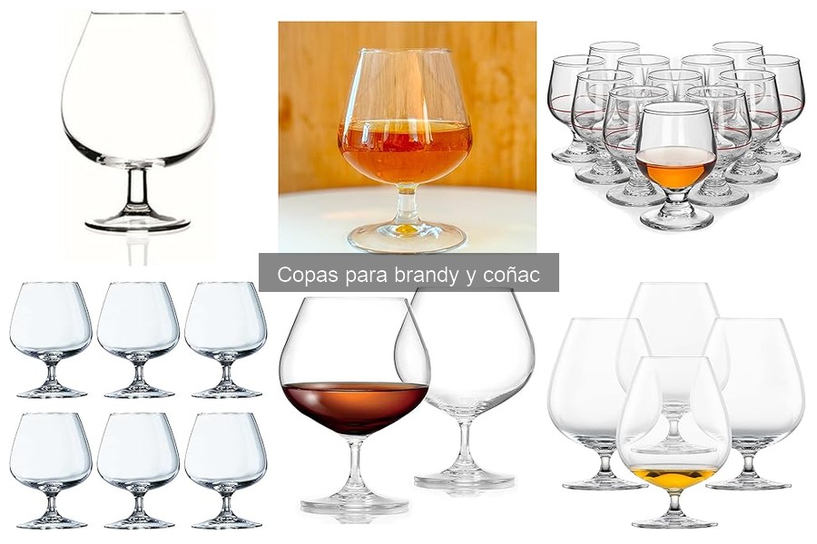 Precios y Dónde Comprar Copas de Brandy y Coñac