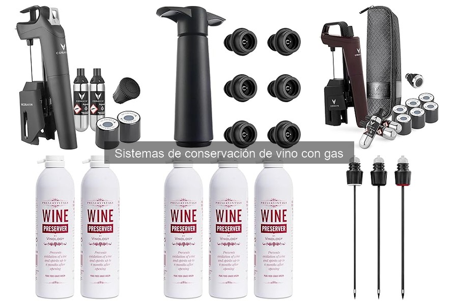 ¿Qué es un sistema de conservación de vino con gas?