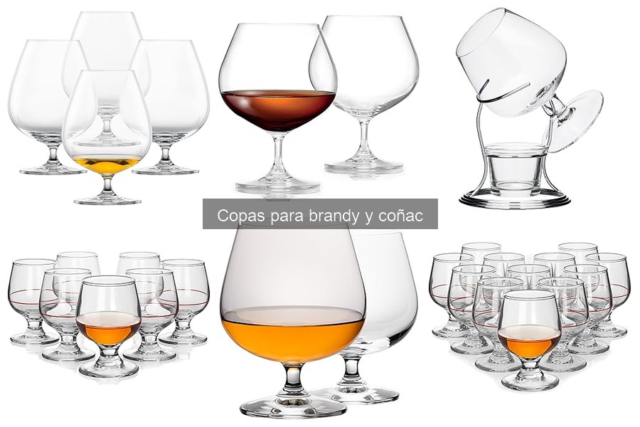Tipos de copas para brandy y coñac: Guía esencial