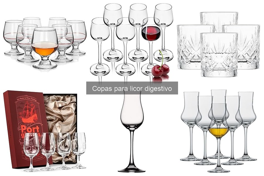 Tipos de copas para licor digestivo: guía de estilos y usos